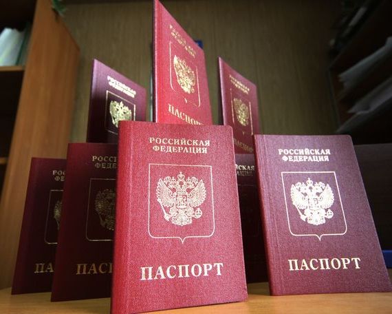 прописка в Струнино